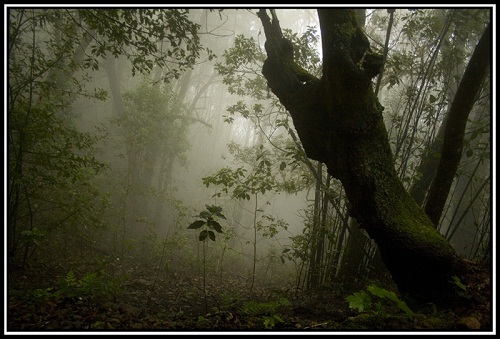 Monte del agua