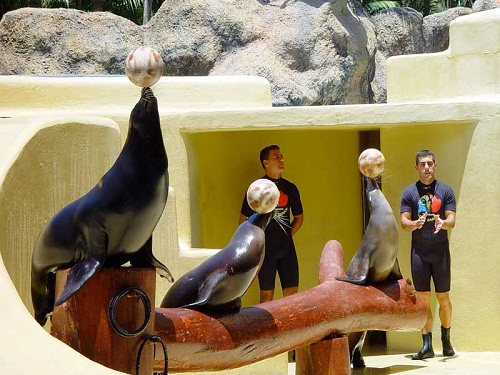 Loro Parque