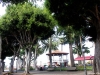 La Plaza de Andrés de Lorenzo Cáceres en Icod