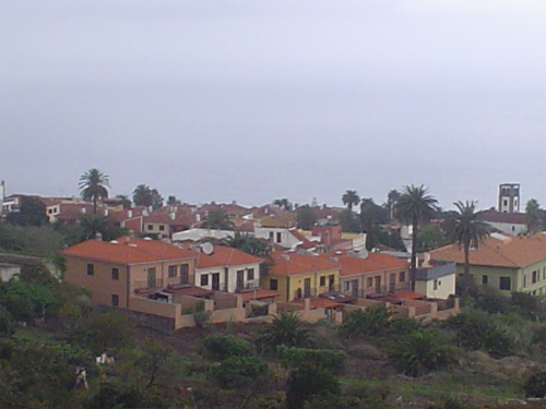 tacoronte