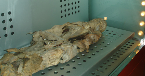 momias guanches