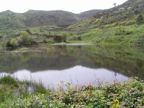 los silos laurisilva