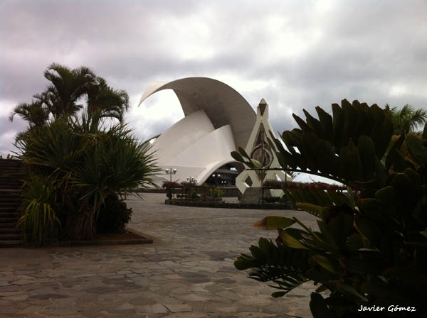 Auditorio de Santa Cruz 10