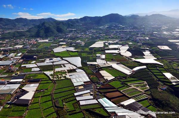 Valle Guerra Tenerife Norte 3
