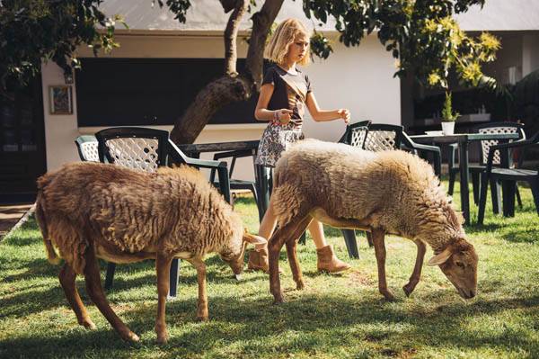 la granja verde by lsdbpro100