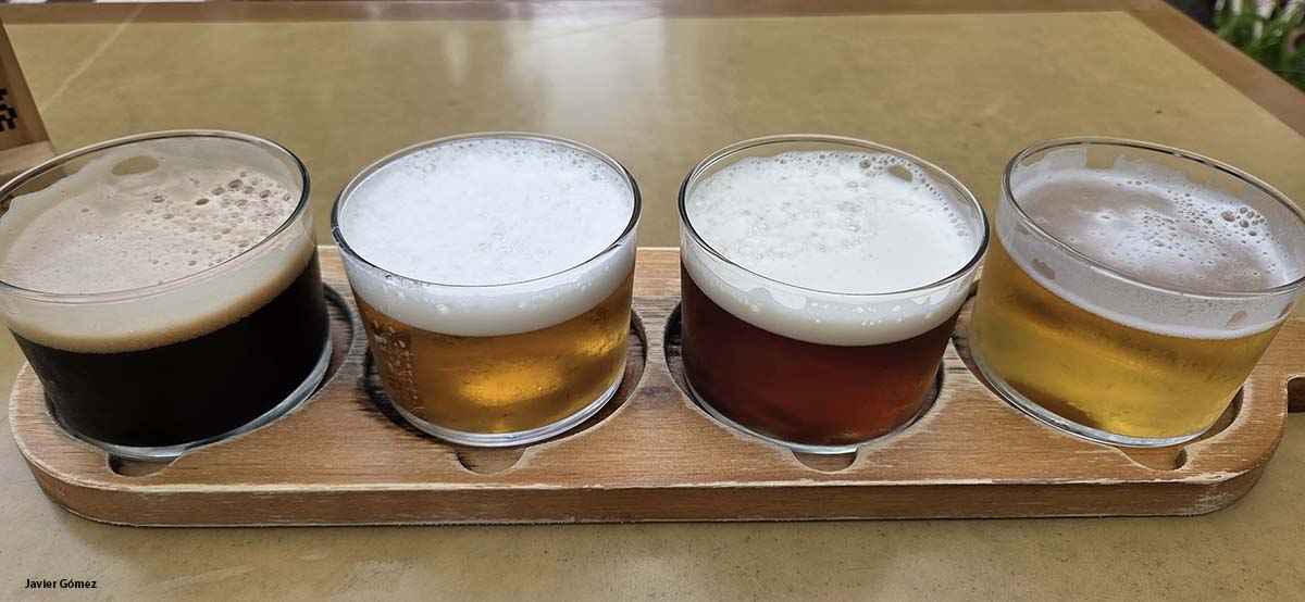 Cata de cervezas en cervceria Tacoa