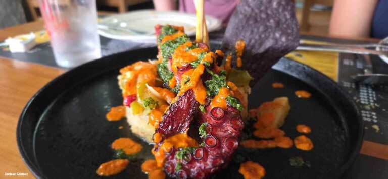 Timbal de batata con pulpo en El Fogon 768x355