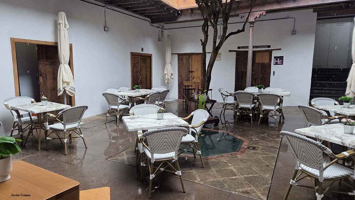 El Patio de la Camelia en La Laguna