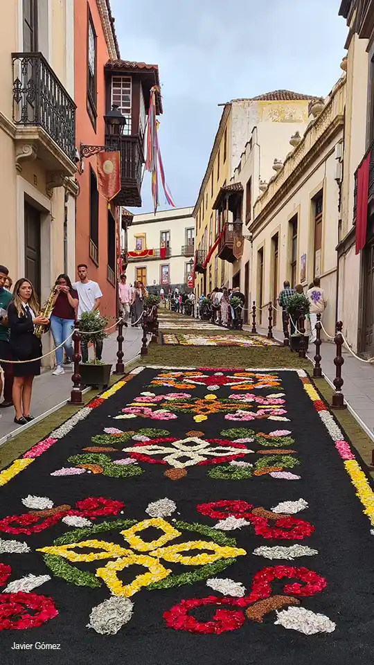Alfombras de La Orotava por sus calles Alfombras de La Orotava por sus calles