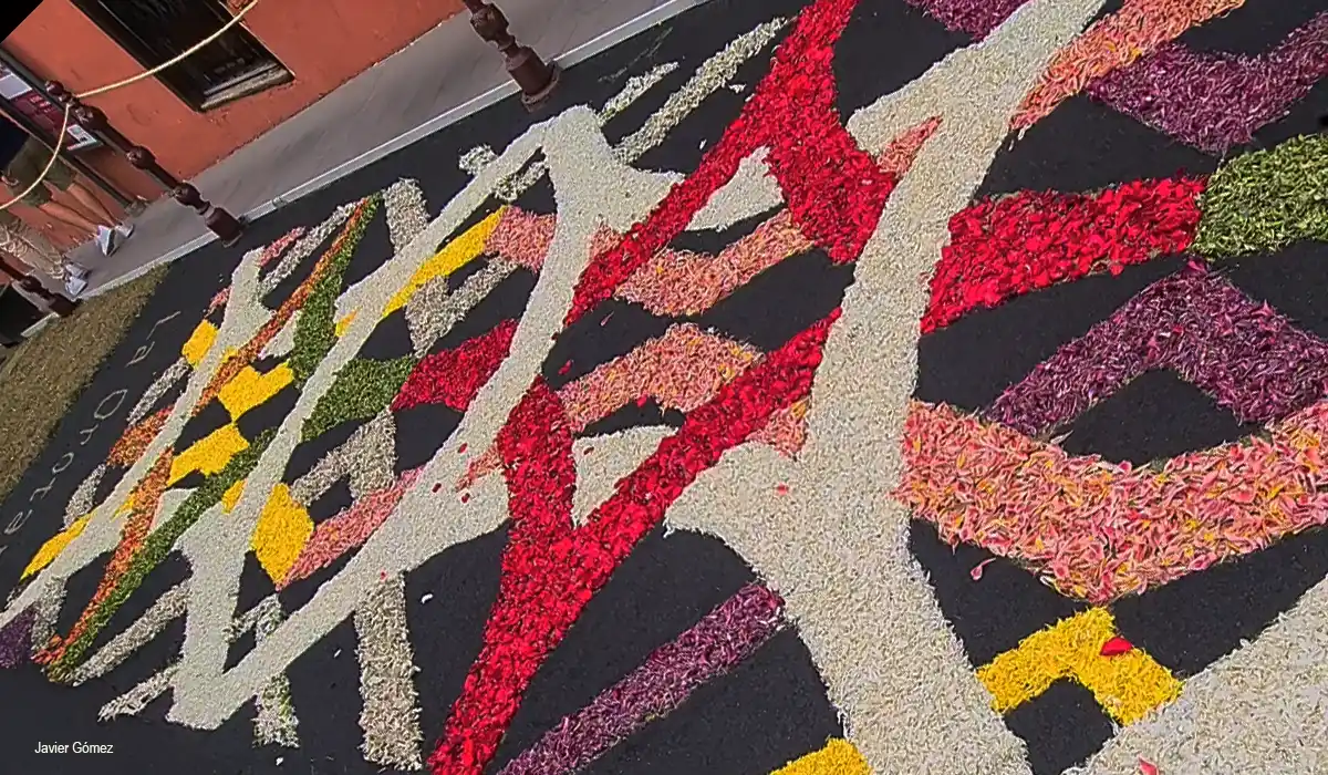 Detalle de las Alfombras en las calles de La Orotava Detalle de las Alfombras en las calles de La Orotava