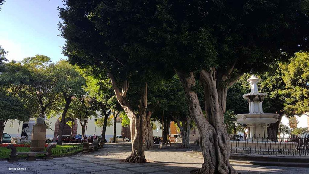 Plaza del Adelantado en La Laguna