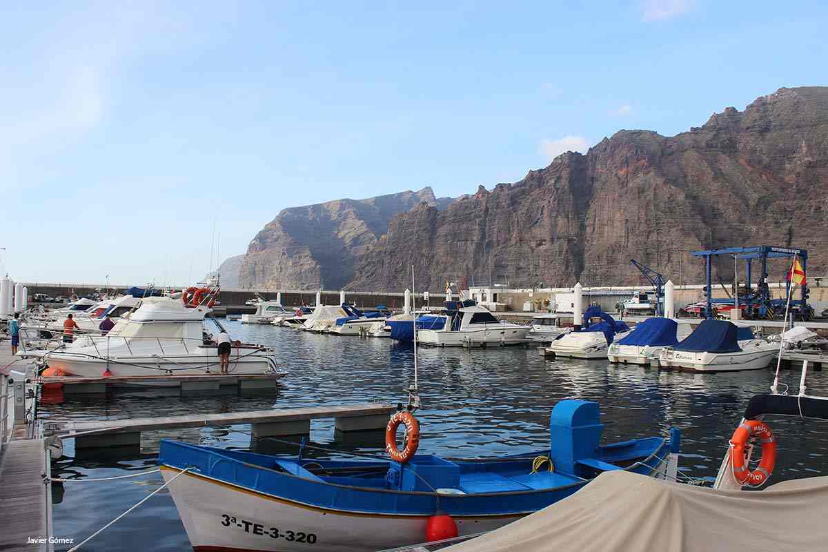 Excursión de ballenas en Los Gigantes Tenerife