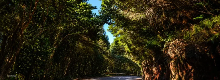 Senderismo en el Parque Rural de Anaga