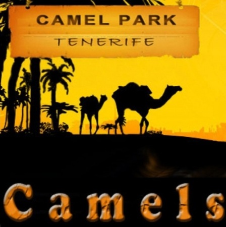 Camel Park Tenerife