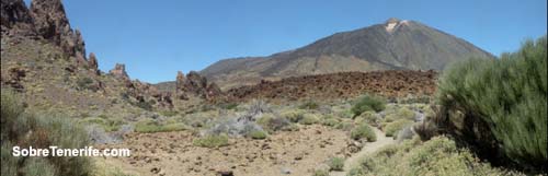 Excursión y fotos del Teide