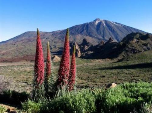 rutas volcánicas en Tenerife